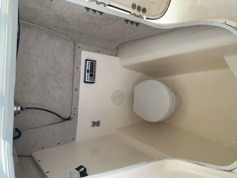 Slide: The Image of World Cat 25 2007 - 5016638