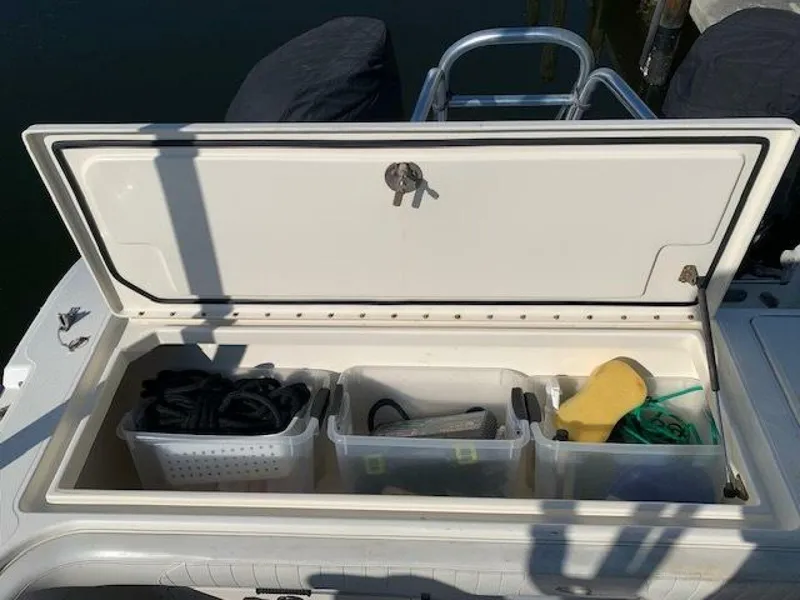 Slide: The Image of World Cat 25 2007 - 5016639