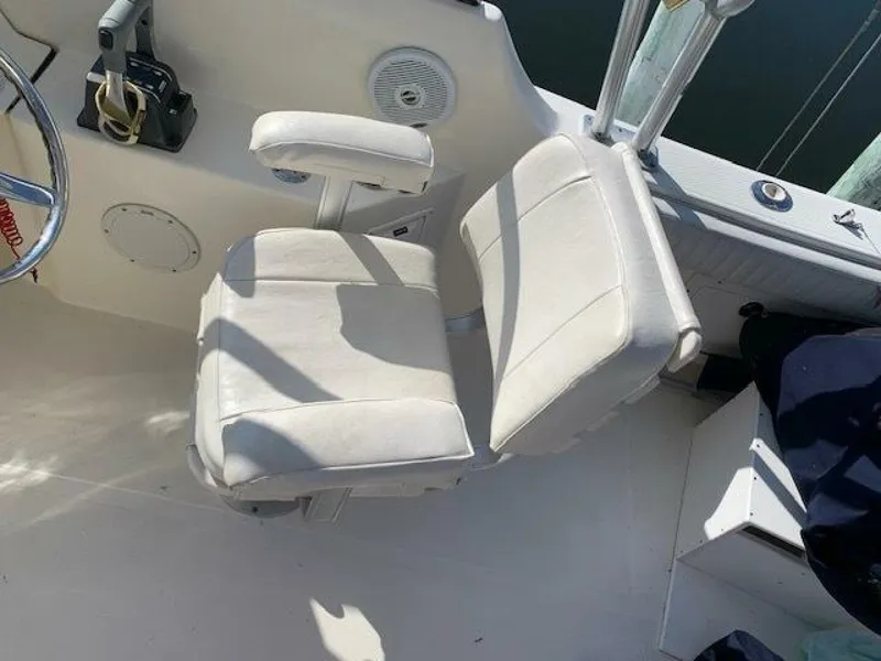 Slide: The Image of World Cat 25 2007 - 5016642