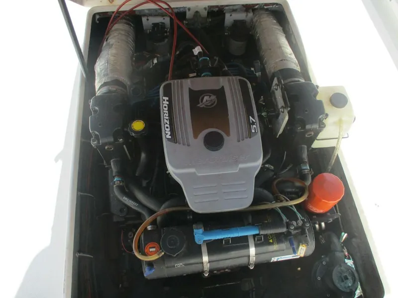 Slide: The Image of Shamrock 24 2001 - 5017185