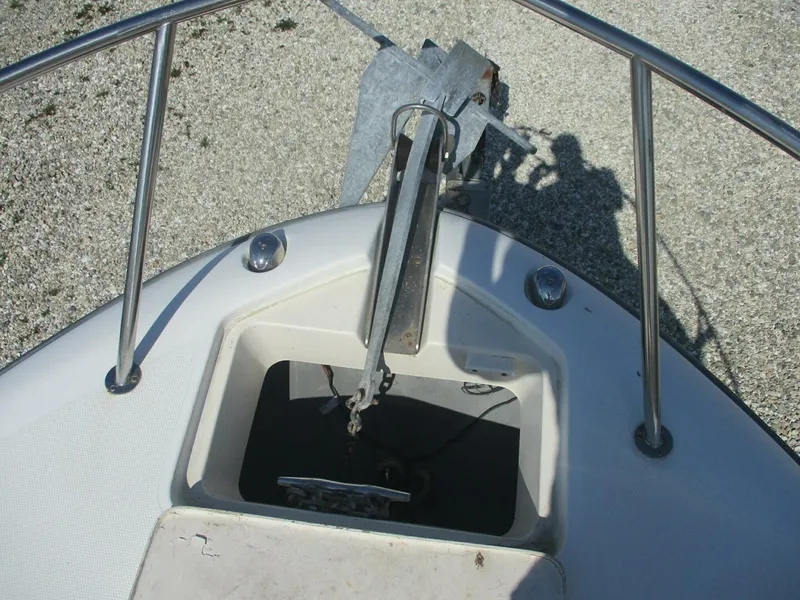 Slide: The Image of Shamrock 24 2001 - 5017196