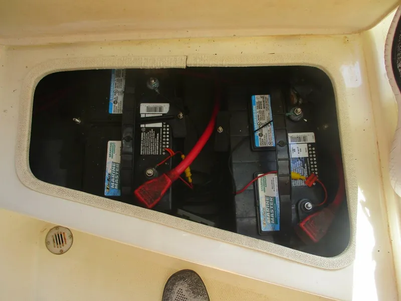 Slide: The Image of Shamrock 24 2001 - 5017211