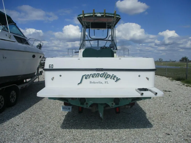 Slide: The Image of Shamrock 24 2001 - 5017215