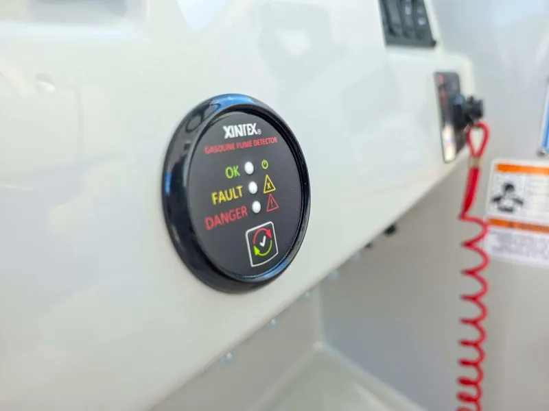 Slide: The Image of Regal 33 SAV 2025 - 5577648