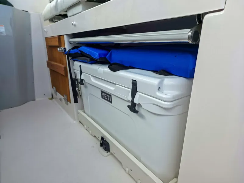 Slide: The Image of Regal 33 SAV 2025 - 5577658