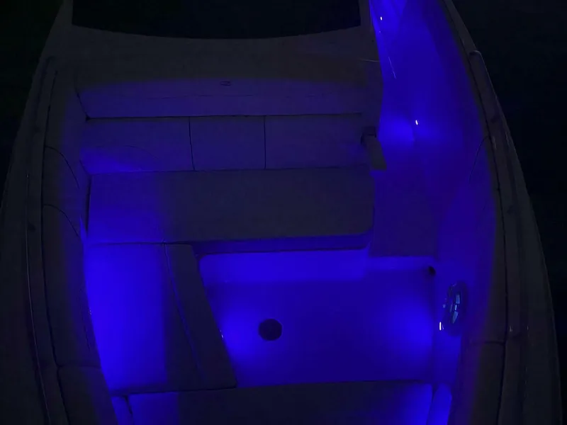 Slide: The Image of Regal 33 SAV 2025 - 5593161