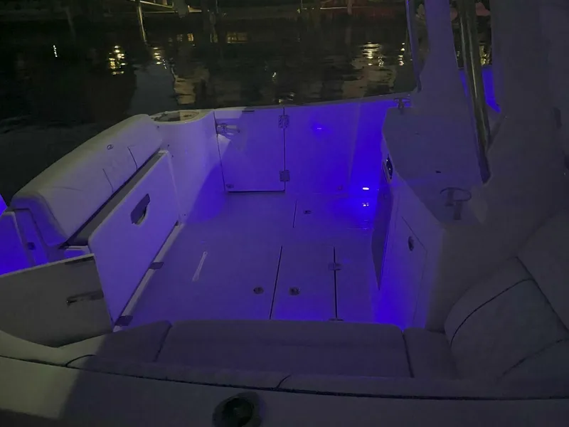 Slide: The Image of Regal 33 SAV 2025 - 5593165