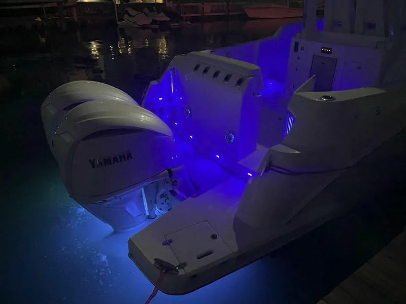 Slide: The Image of Regal 33 SAV 2025 - 5593166