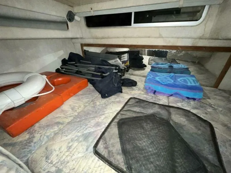 Slide: The Image of Sea Ray 250 Sundancer 1990 - 5024553