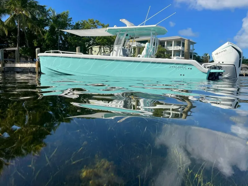 Slide: The Image of Dynamic D-305V 2024 - 5031577