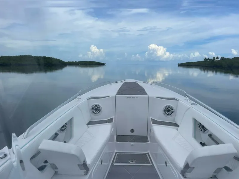 Slide: The Image of Dynamic D-305V 2024 - 5031573