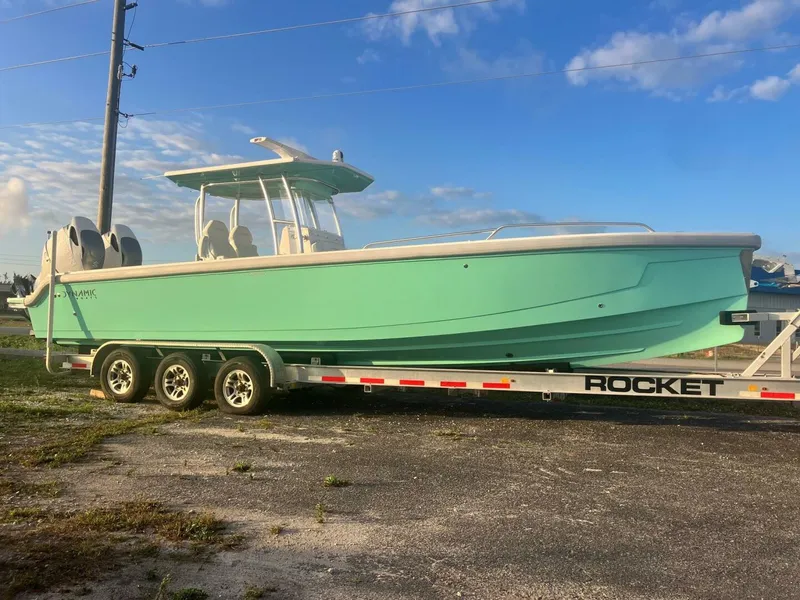 Slide: The Image of Dynamic D-305V 2024 - 5031570