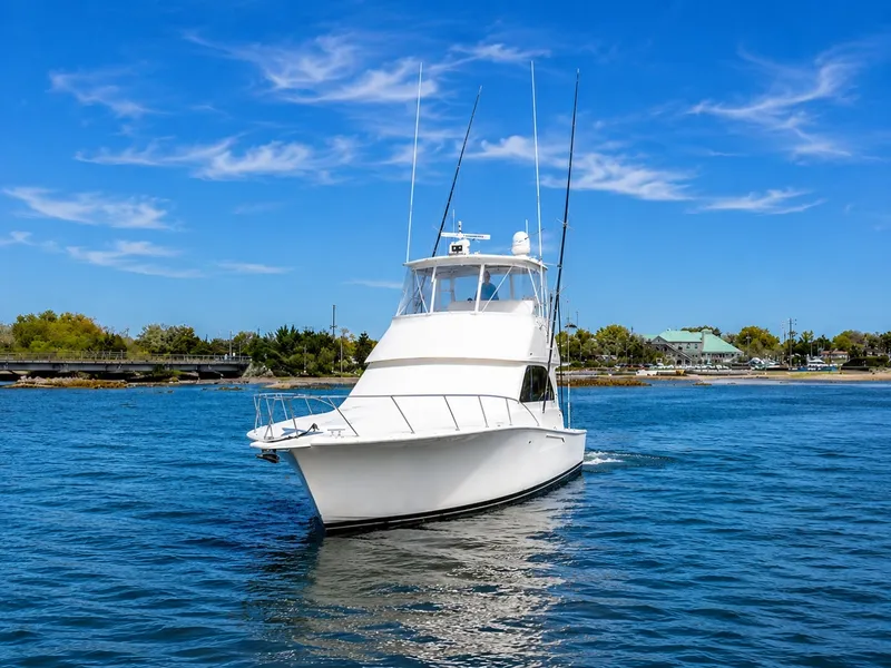 Slide: The Image of Viking 45 Convertible 2005 - 6753467