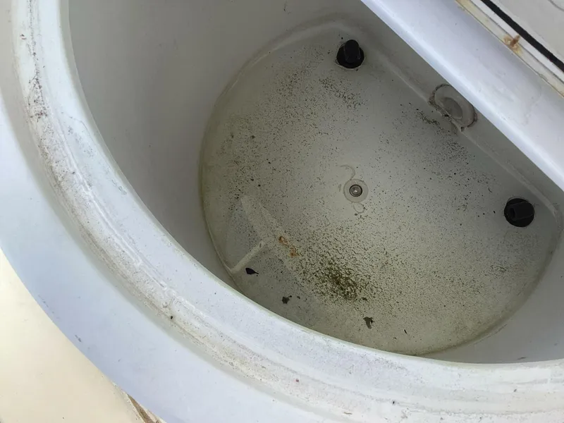 Slide: The Image of Bonefish 22 Saballo Custom 2014 - 5413379