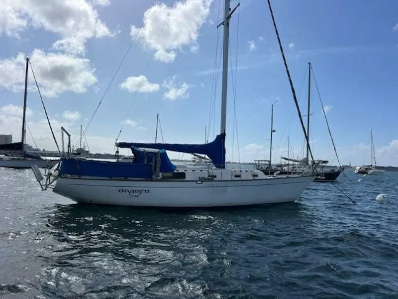 The Image of Morgan 38 1980 - 5040518