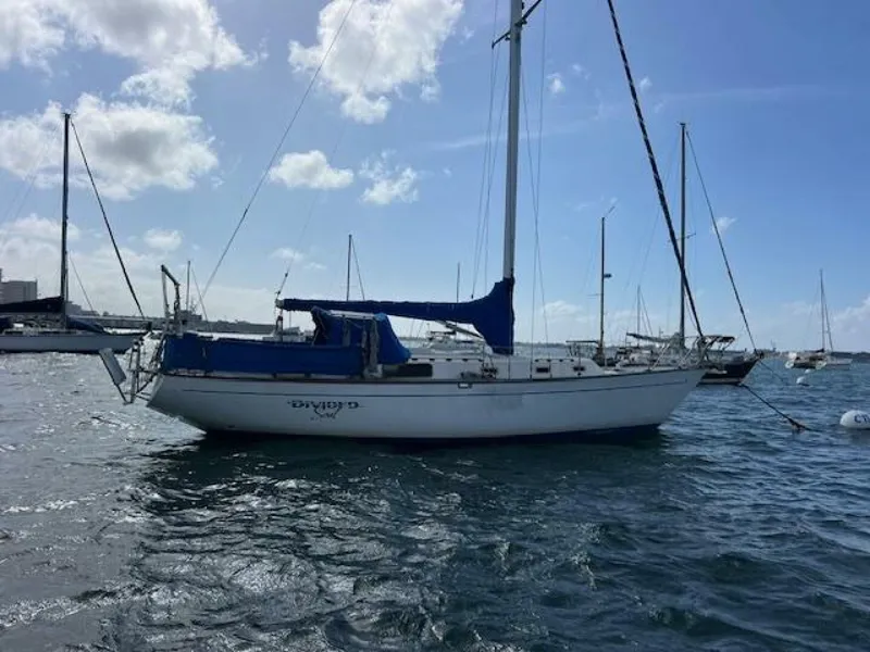 Slide: The Image of Morgan 38 1980 - 5040519