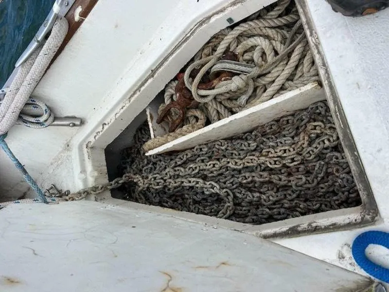 Slide: The Image of Morgan 38 1980 - 5040533