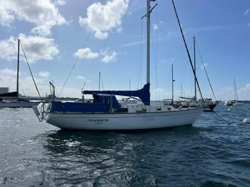 Slide: The Image of Morgan 38 1980 - 5040520