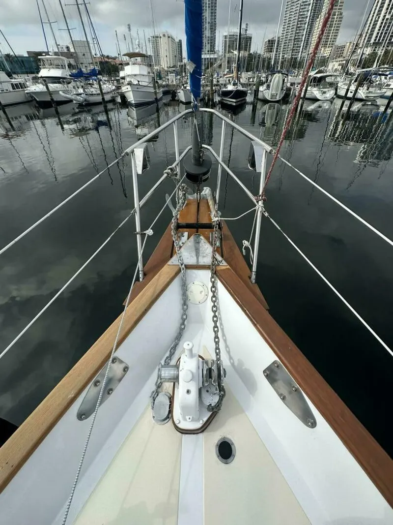 Slide: The Image of Sea Star 46 1982 - 5051024