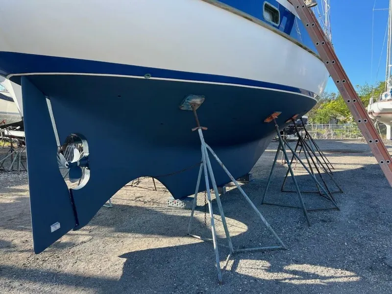 Slide: The Image of Sea Star 46 1982 - 5050977