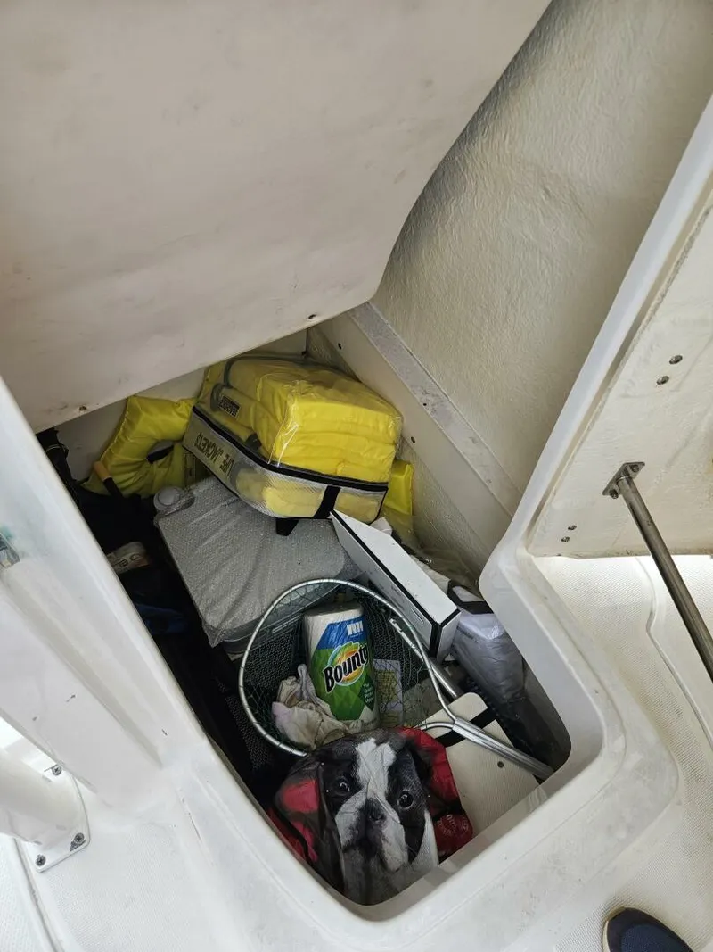 Slide: The Image of Robalo 22 2019 - 5046582