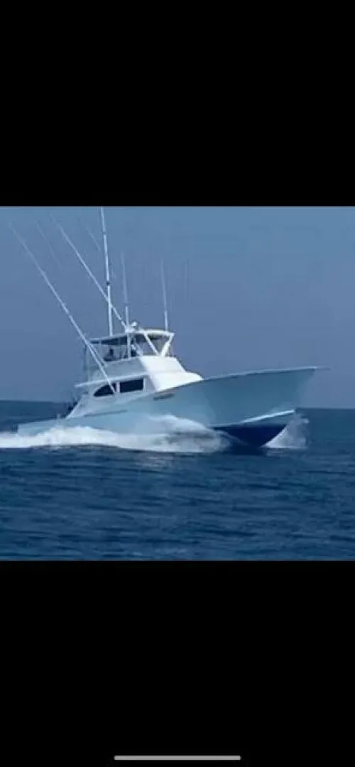 The Image of Custom Carolina 56 2022 - 5048643