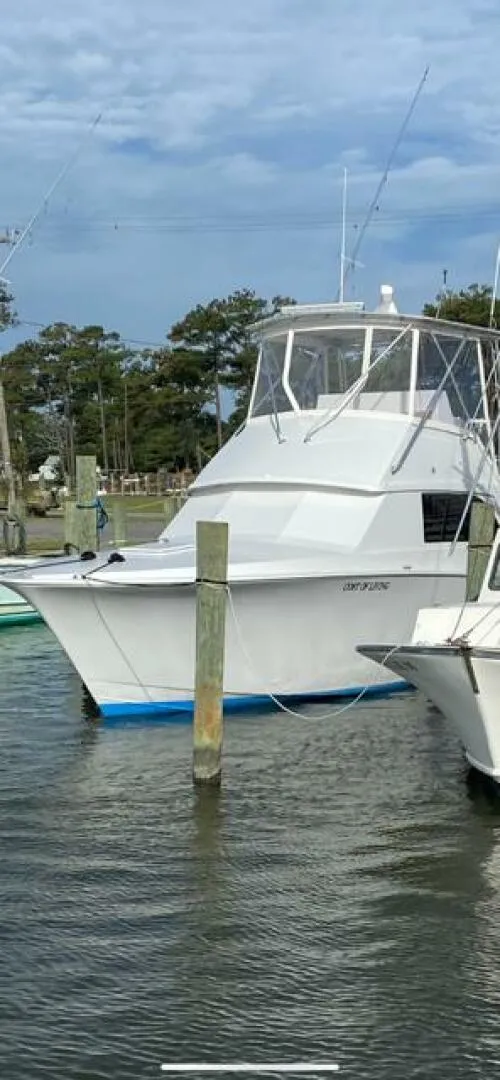 Slide: The Image of Bertram 38 1985 - 5048771