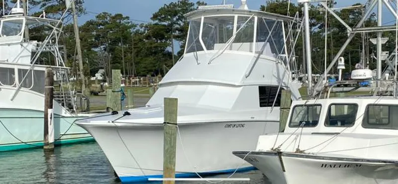 Slide: The Image of Bertram 38 1985 - 5048773