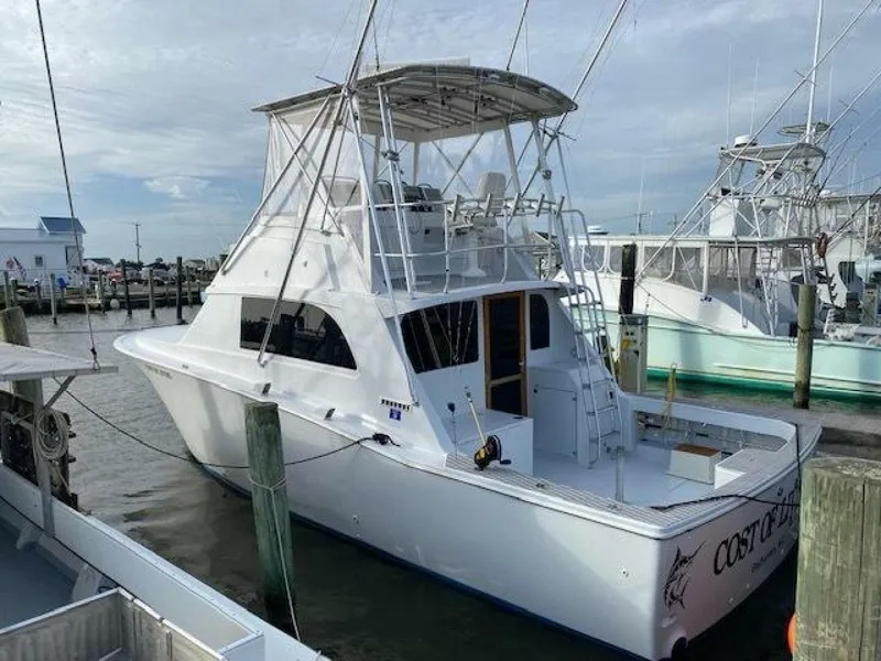 Slide: The Image of Bertram 38 1985 - 5048747