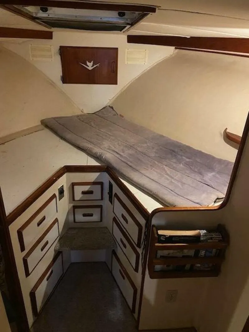 Slide: The Image of Bertram 38 1985 - 5048785