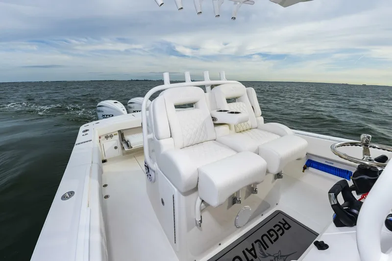 Slide: The Image of Regulator Marine 31 2025 - 5263393