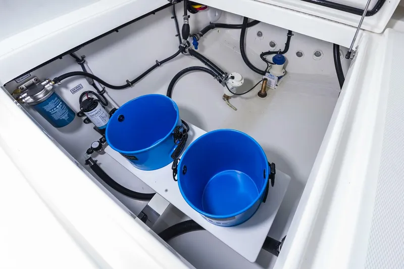 Slide: The Image of Regulator Marine 31 2025 - 5263399