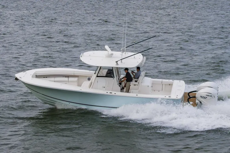 Slide: The Image of Regulator Marine 31 2025 - 5263414