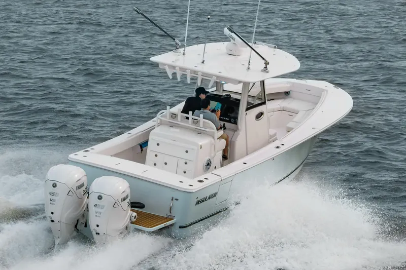 Slide: The Image of Regulator Marine 31 2025 - 5263383