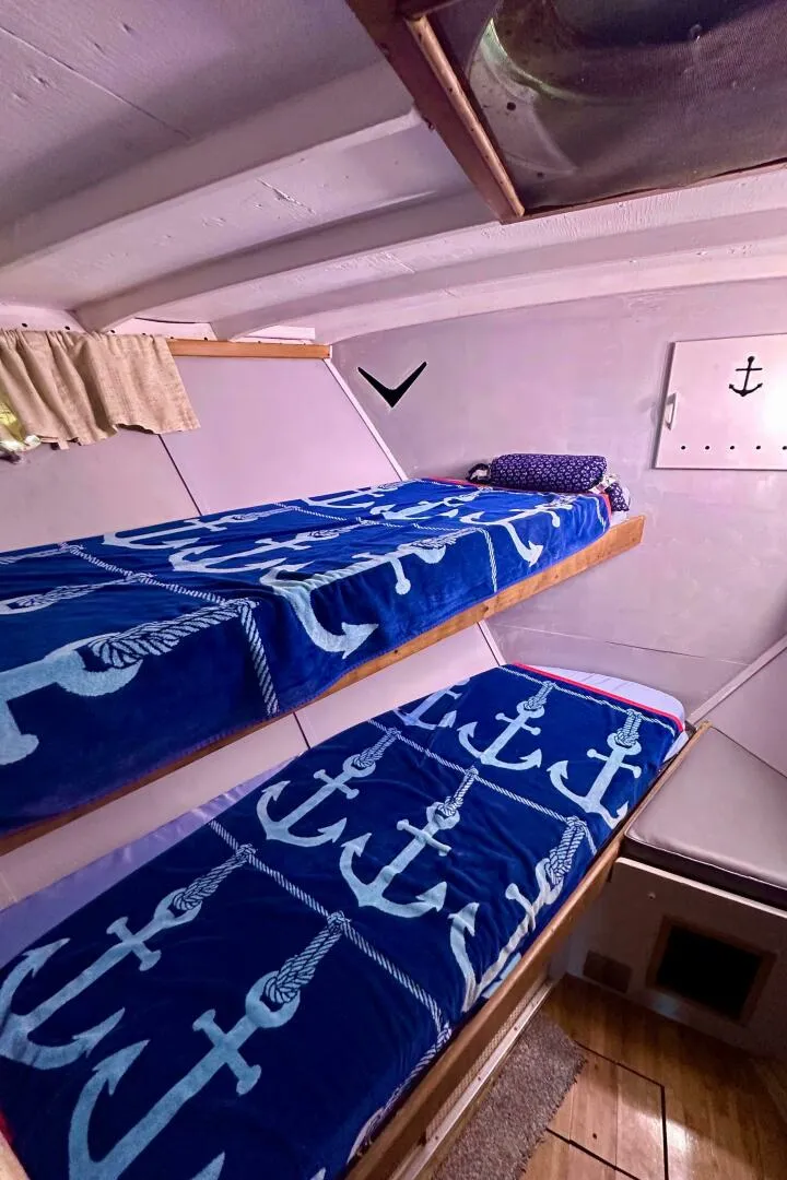 Slide: The Image of Chris-Craft 45 Constellation 1960 - 5054549