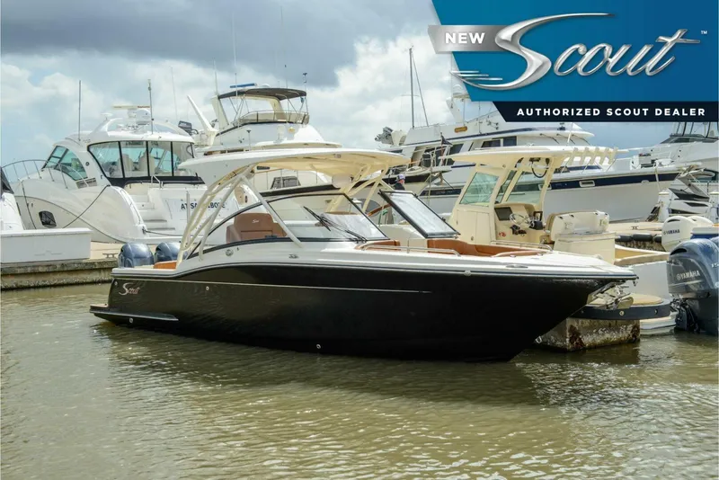 The Image of Scout 255 Dorado 2026 - 5309729