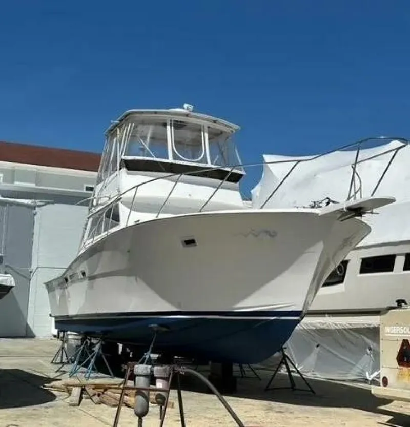 Slide: The Image of 40 ft Viking - 5059842