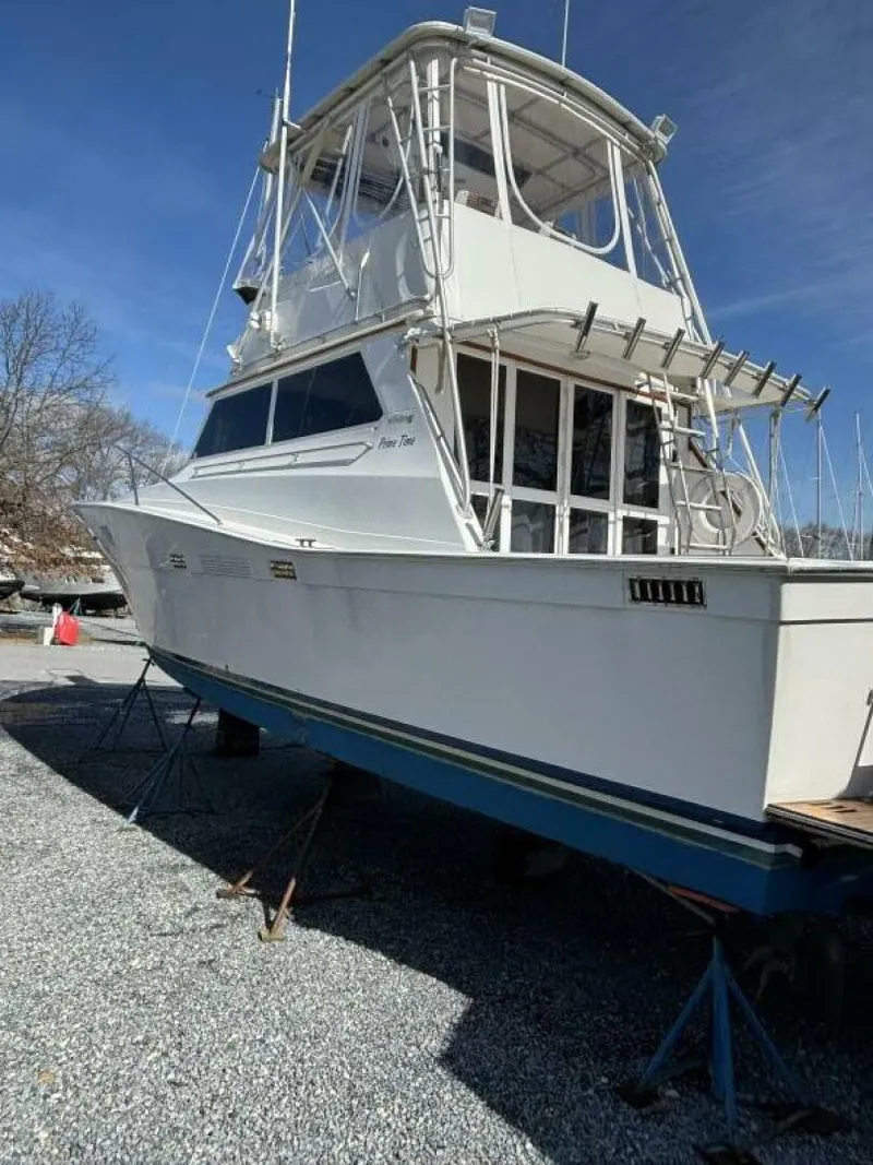 Slide: The Image of 40 ft Viking - 5059845