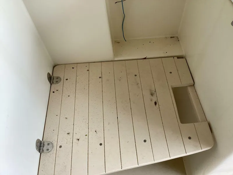 Slide: The Image of Albin 28 Tournament Express 1995 - 5416431