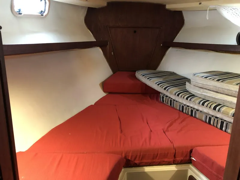 Slide: The Image of Catalina Morgan Classic 41 1988 - 5075343