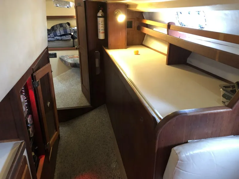 Slide: The Image of Catalina Morgan Classic 41 1988 - 5075349