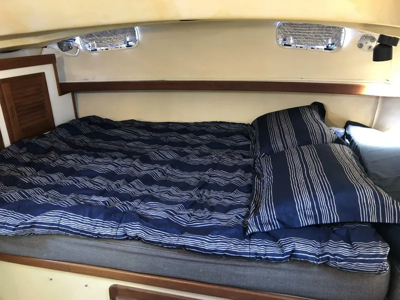 Slide: The Image of Catalina Morgan Classic 41 1988 - 5075351