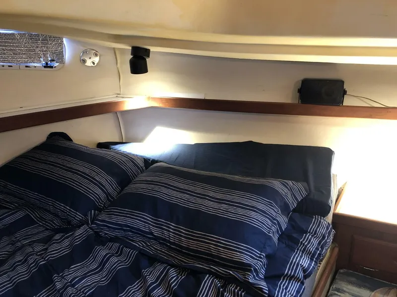 Slide: The Image of Catalina Morgan Classic 41 1988 - 5075353