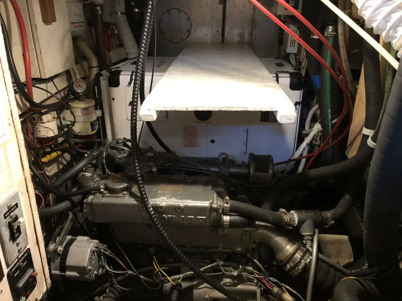 Slide: The Image of Catalina Morgan Classic 41 1988 - 5075358