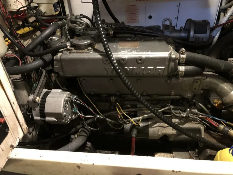 Slide: The Image of Catalina Morgan Classic 41 1988 - 5075363