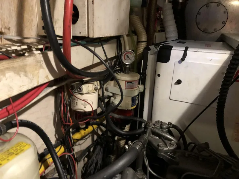 Slide: The Image of Catalina Morgan Classic 41 1988 - 5075368