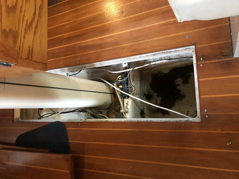 Slide: The Image of Catalina Morgan Classic 41 1988 - 5075393