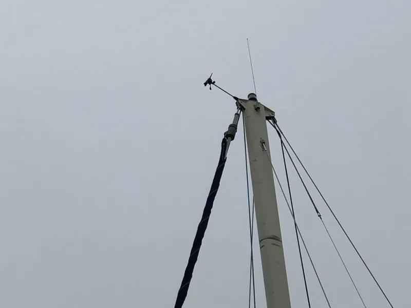 Slide: The Image of Catalina Morgan Classic 41 1988 - 5075397