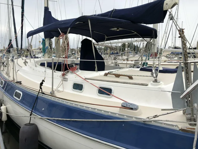 Slide: The Image of Catalina Morgan Classic 41 1988 - 5075327