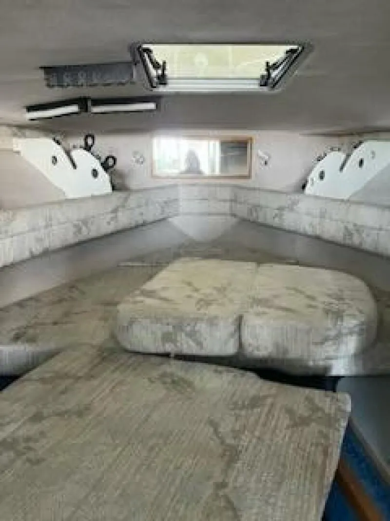 Slide: The Image of Sea Ray 310 Amberjack 1993 - 5082068